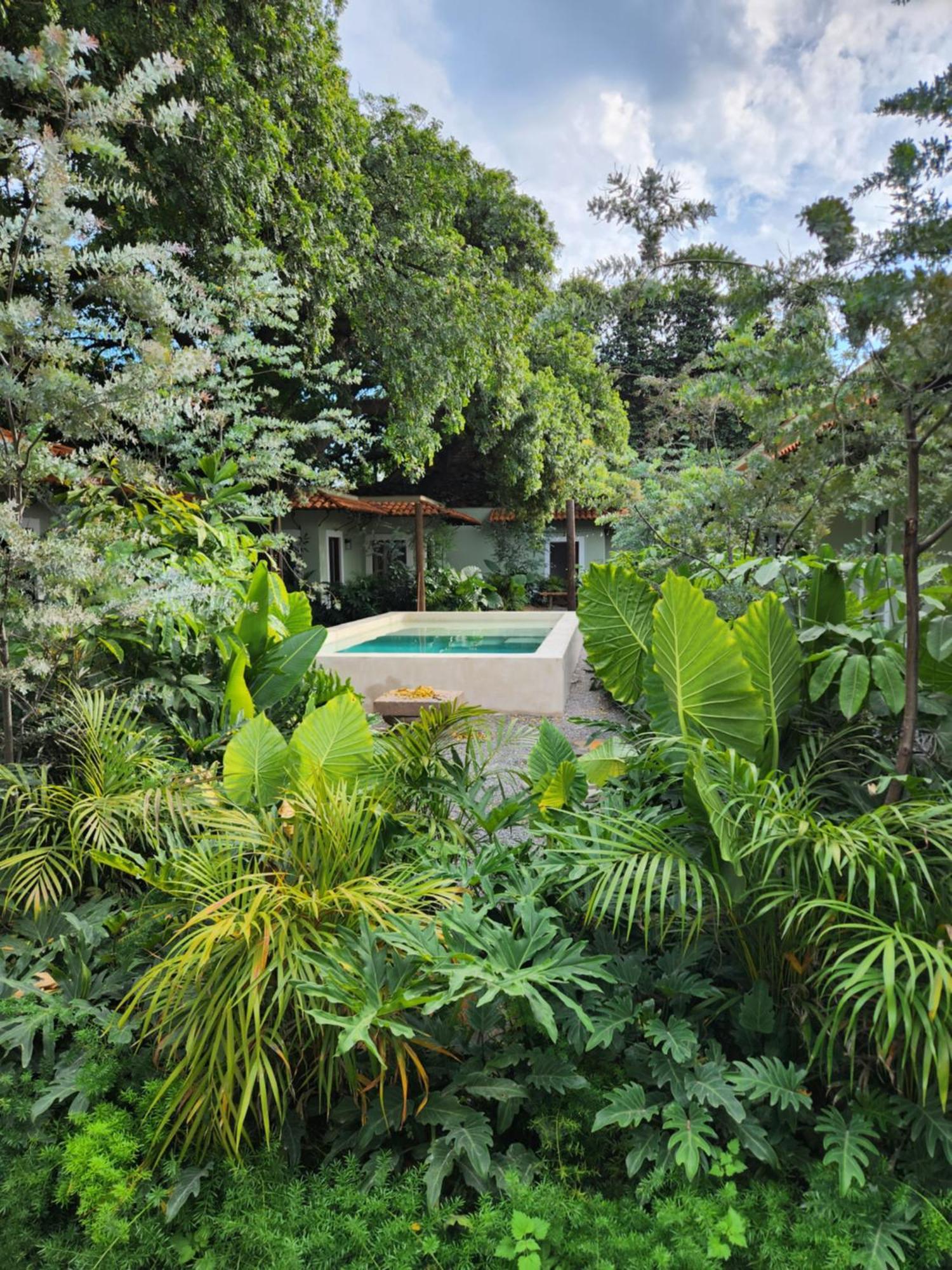 Hotel Boutique Villa Escondida, A Pasos De Lo Mejor En Tlaquepaque Ngoại thất bức ảnh